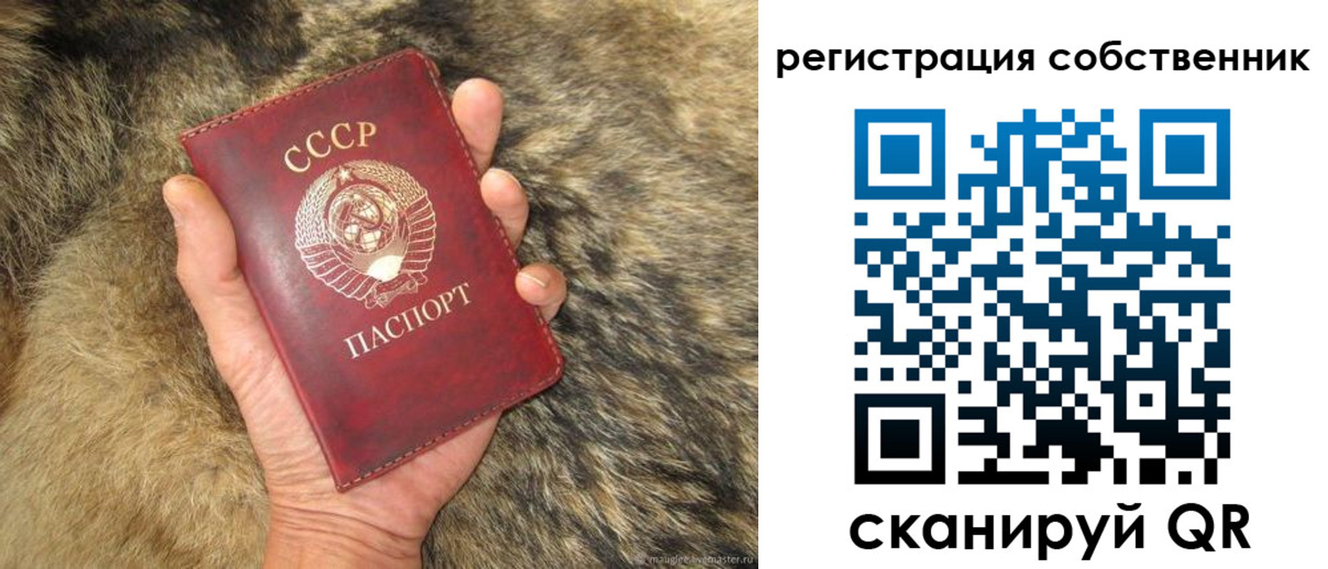 прописка 2025 в Кстово